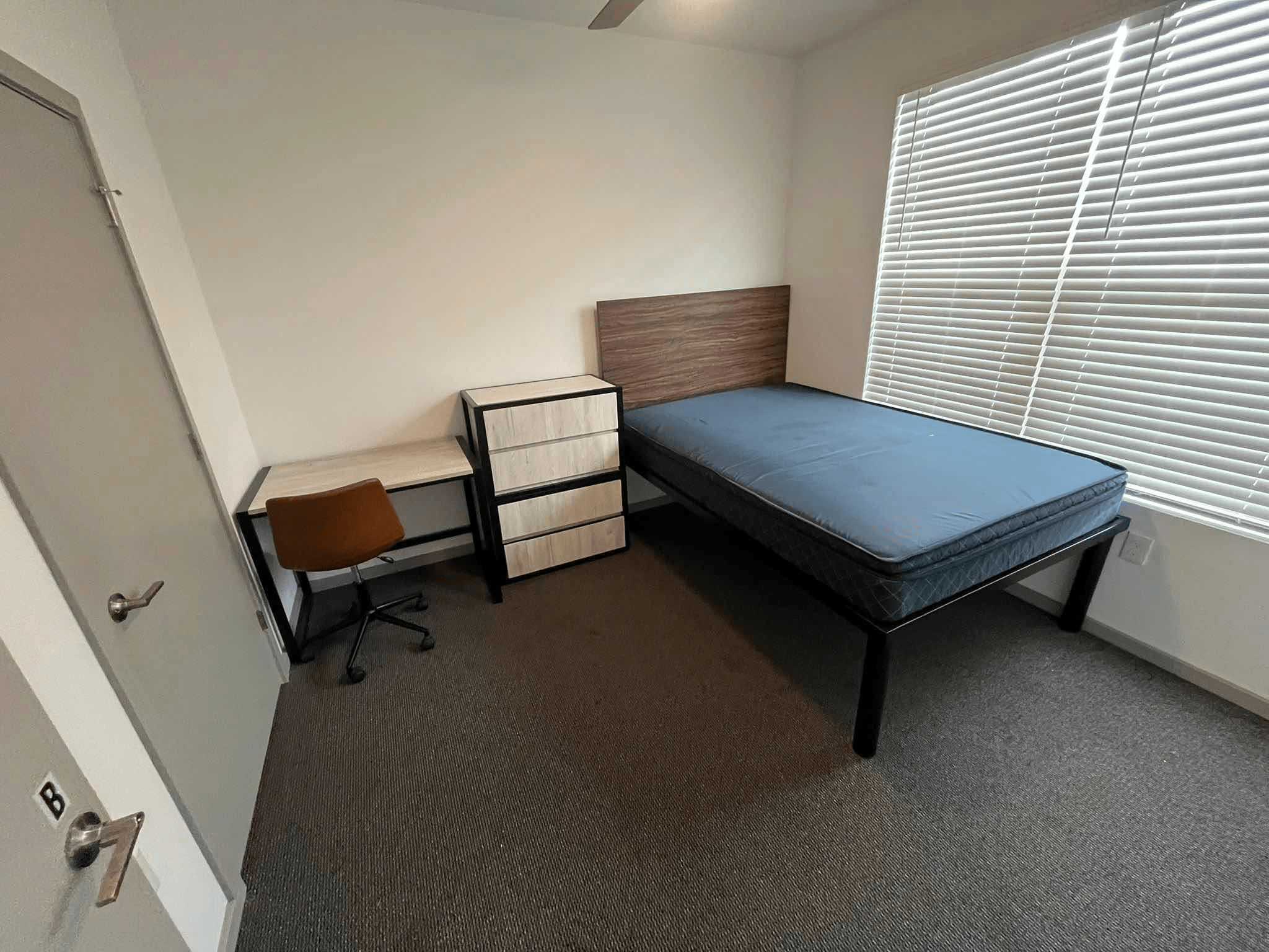 Common Area Cleaning